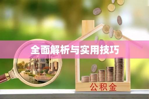 佳里全面解析与实用技巧